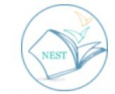 NEST Management Consultancy