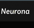 Neurona Agency