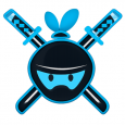Ninja Coding Pro