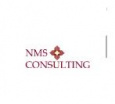 NMS Consulting limited 