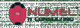 Numel IT Consulting Services