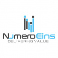 NumeroEins Software Private Limited