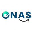 Onas Consulting Services