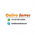Onlive Server
