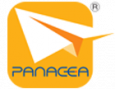 Panacea IT Infrastructure LLC