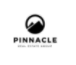 Pinnacle Real Estate Group