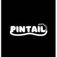 Pintail Digital