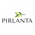 Pirlanta IT Solutions Pvt Ltd