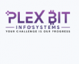 Plex Bit Infosystems Pvt Ltd