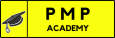 PMP academy