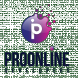 Pro Online Developers