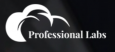 Professional Labs 