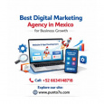 Punto 7x Digital Marketing Agency in Mexico