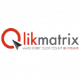 Qlikmatrix SEM & Anlaytics Pvt. Ltd.