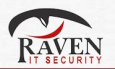 Raven IT Security