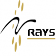 Rays Techserv Private Limited