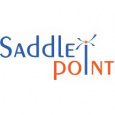 Saddle Point Technologies