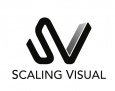 Scaling Visual 