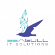 Seagull IT Solutions