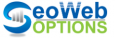 Seo Web Options