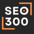 SEO300