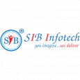 SIB Infotech | PPC Management Service 