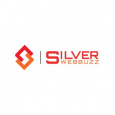 Silver WebBuzz Pvt. Ltd.