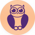 Smart Owl Info Systems