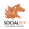 SocialFly live
