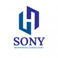 Sony Manpower Consultant