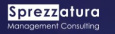 Sprezzatura Management Consulting, LLC