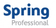  Spring Professional