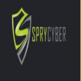 Spry Cyber