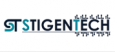 STIGENTECH IT SERVICES PRIVATE LIMITED