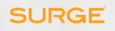 Surge Staffing