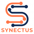 Synectus Pvt Ltd 