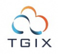 T G I X -  IT Services and IT Consulting