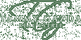 TammyGazda Homes