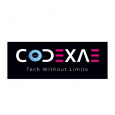Tech Codexae Private limited
