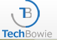 TechBowie
