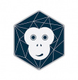 Techmonkey Ventures LLP