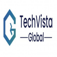 TechVista Global