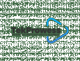 TekProwess LLP