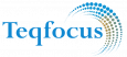 Teqfocus Consulting LLC