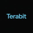 TeraBit