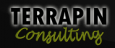 Terappin Consulting
