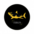 Terus Technology