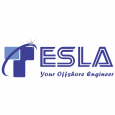 Tesla Outsourcing Services