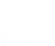 The Bubble Co
