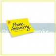 The Phone Answering Service